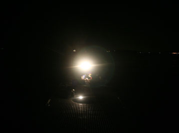 夜に採集